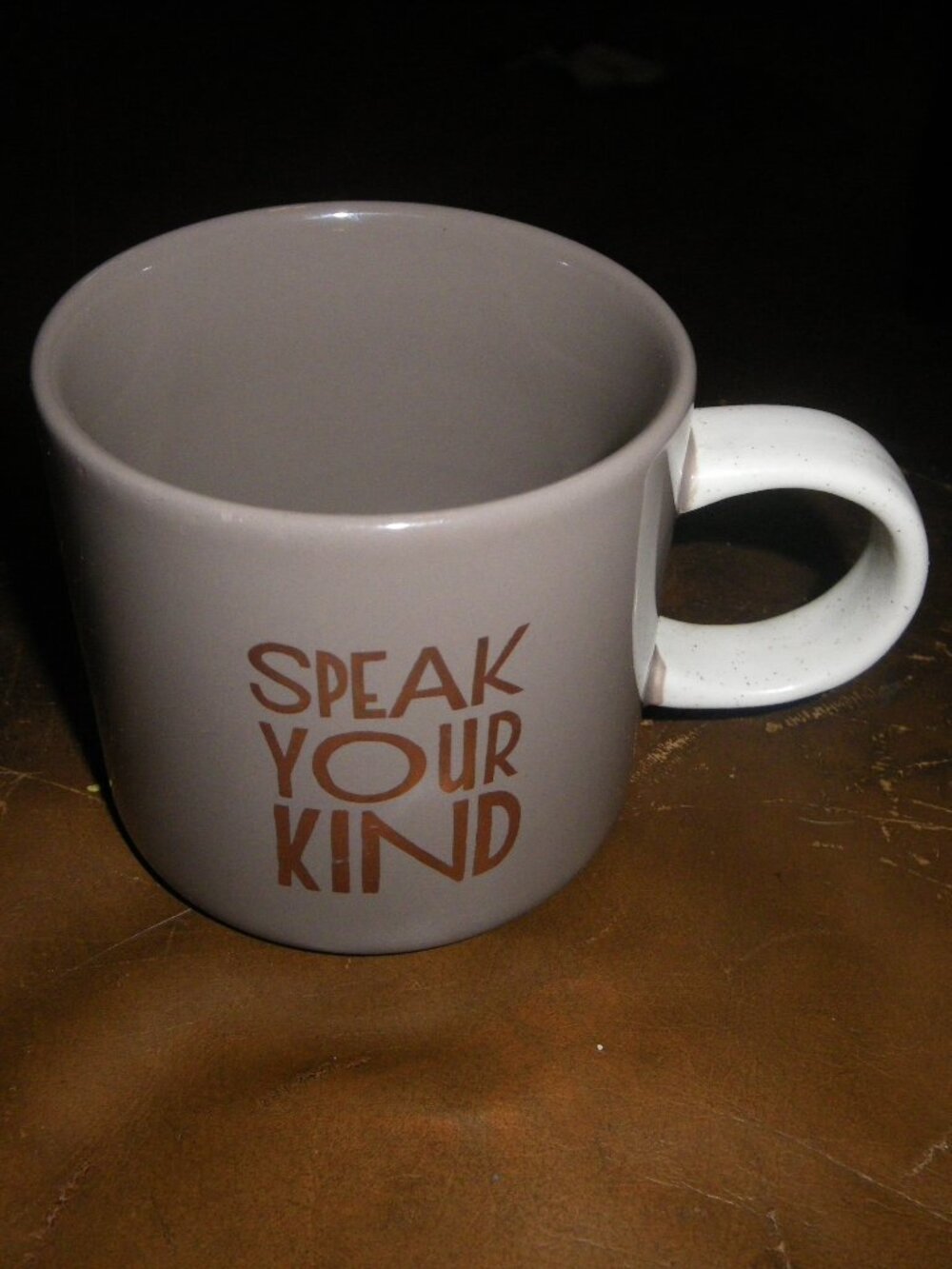 2017 Starbucks Speak Your Kind 12 oz. Ceramic Coffee Mug